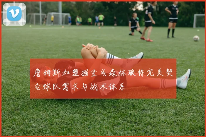 詹姆斯加盟掘金或森林狼将完美契合球队需求与战术体系