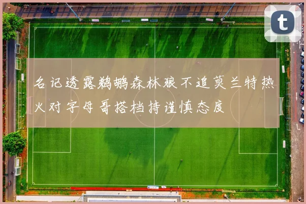 名记透露鹈鹕森林狼不追莫兰特热火对字母哥搭档持谨慎态度
